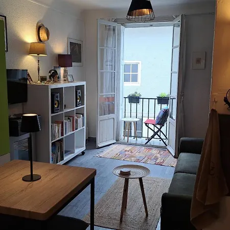 Tres Joli Au Calme Dans Le Coeur Du Village Apartmán Prats-de-Mollo-la-Preste